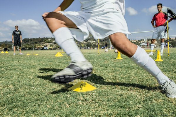 ⁦כיפות סימון מקצועי גובה 5 ס"מ - PRO TRAINING AGILITY CONES - 2 INCH⁩ – תמונה ⁦2⁩